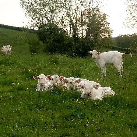 Gite A La Ferme Le Rousset Dış mekan fotoğraf