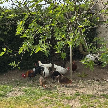Gite A La Ferme Le Rousset Dış mekan fotoğraf